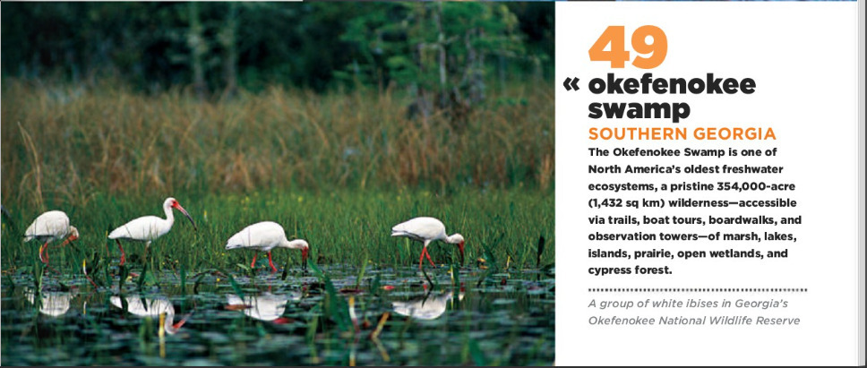 Detail of 49 Okefenokee Swamp in National Geographic