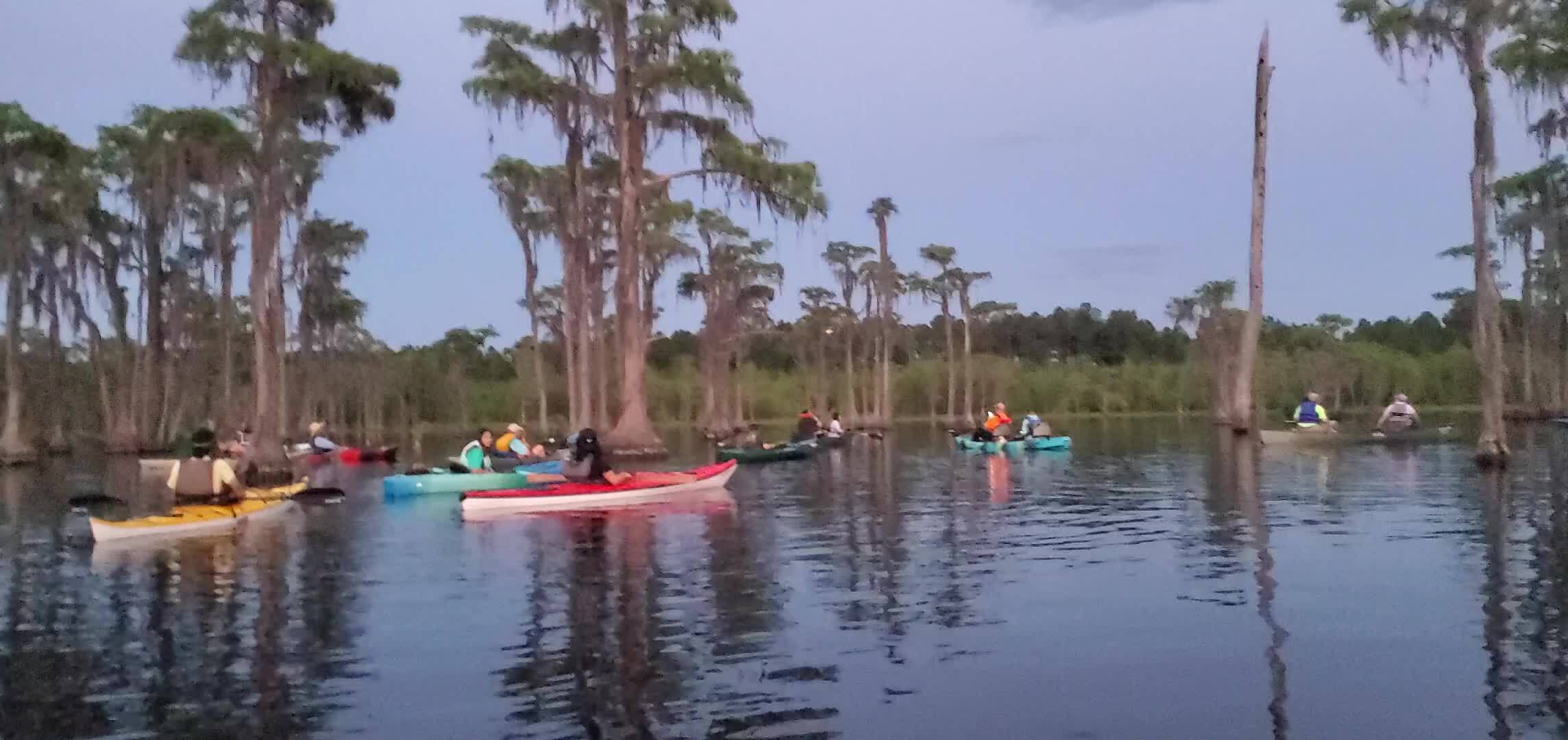 Movie: Moon visible through cypress (56M)