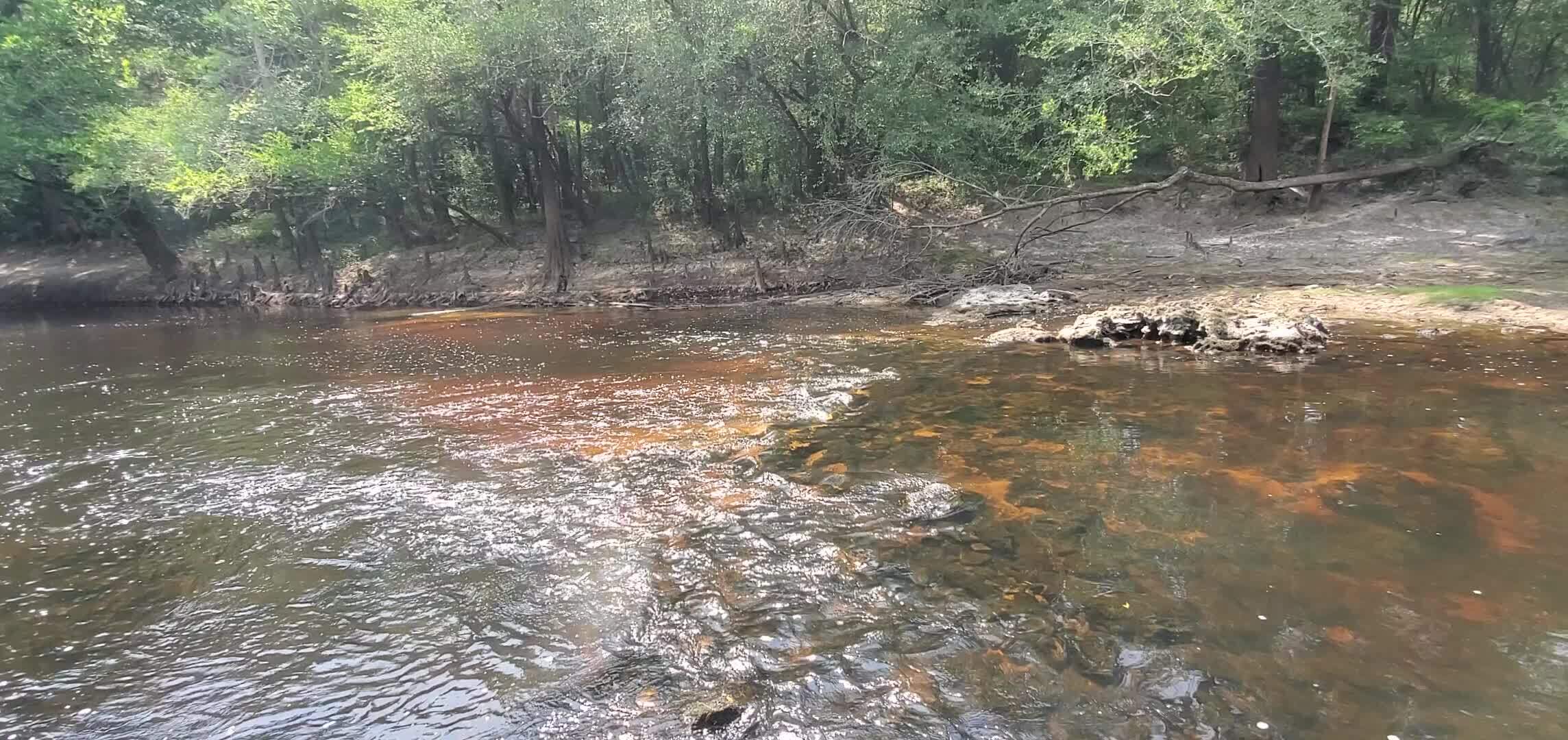 Movie: Troupville Fish Weir and Troup Bridge, 30.6780981, -83.3903568 (64M)