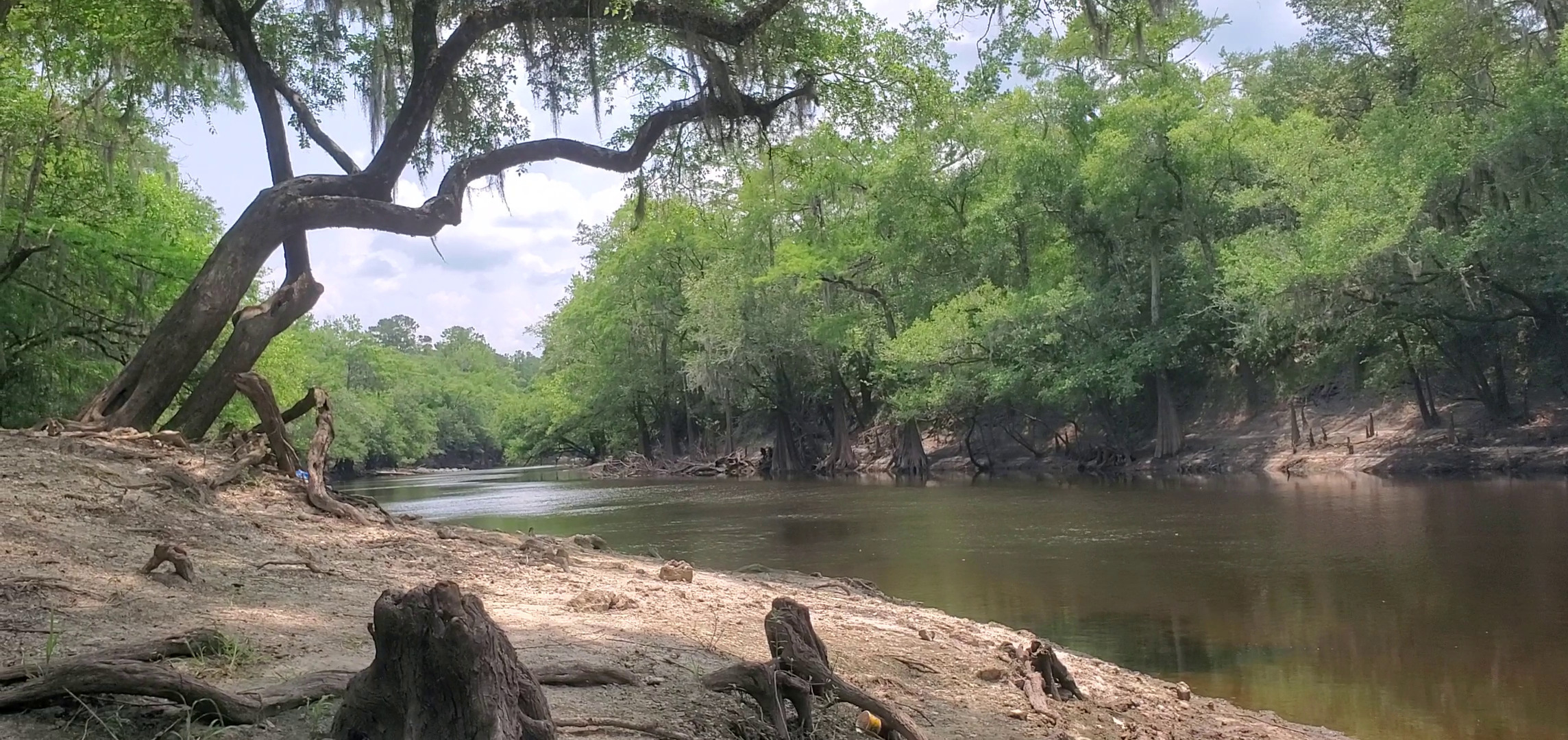 Downstream, Knights Ferry Boat Ramp, Withlacoochee River 2023-06-08