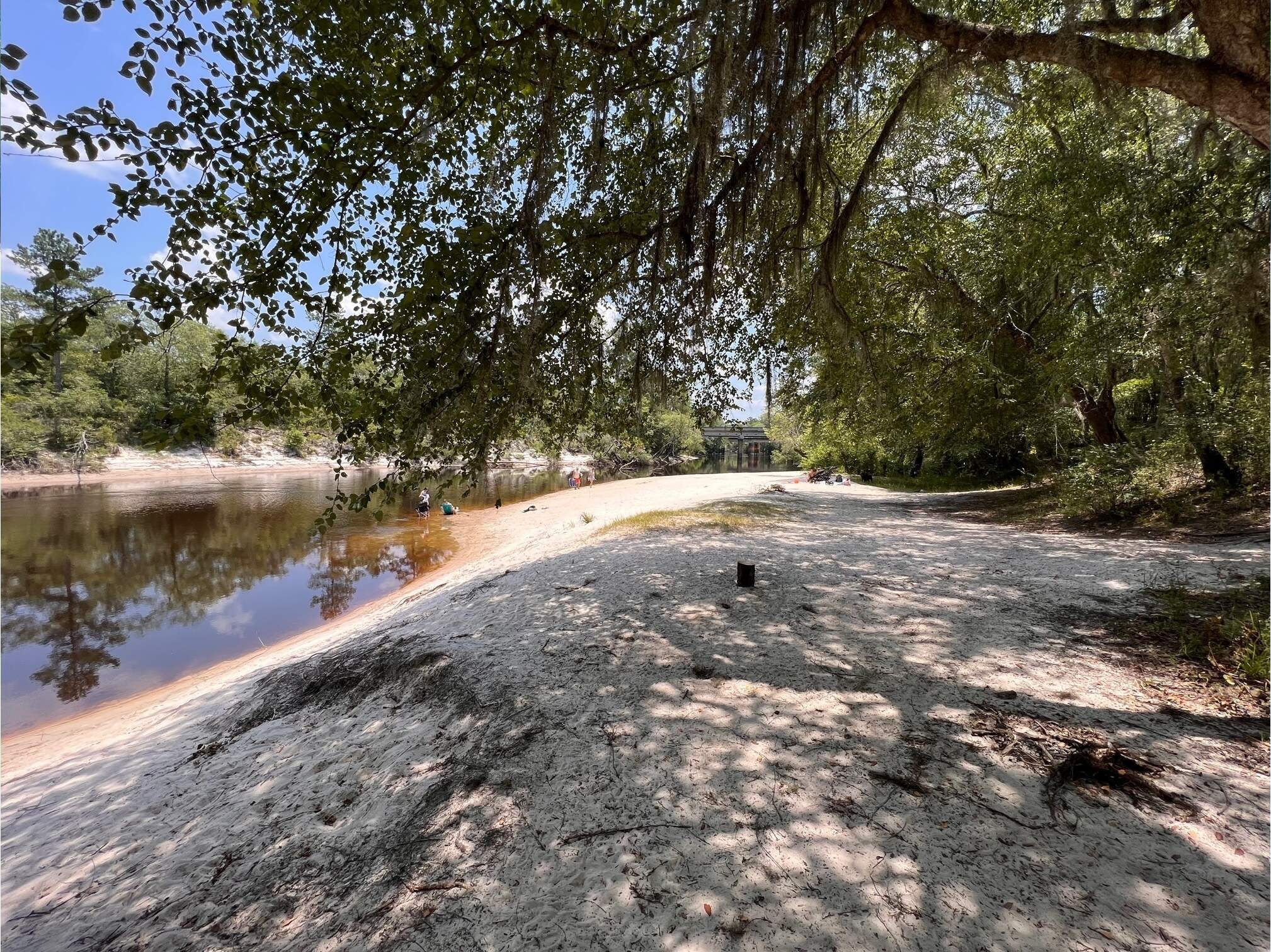 Naylor Park Beach, Alapaha River, US 84, 2023-06-06