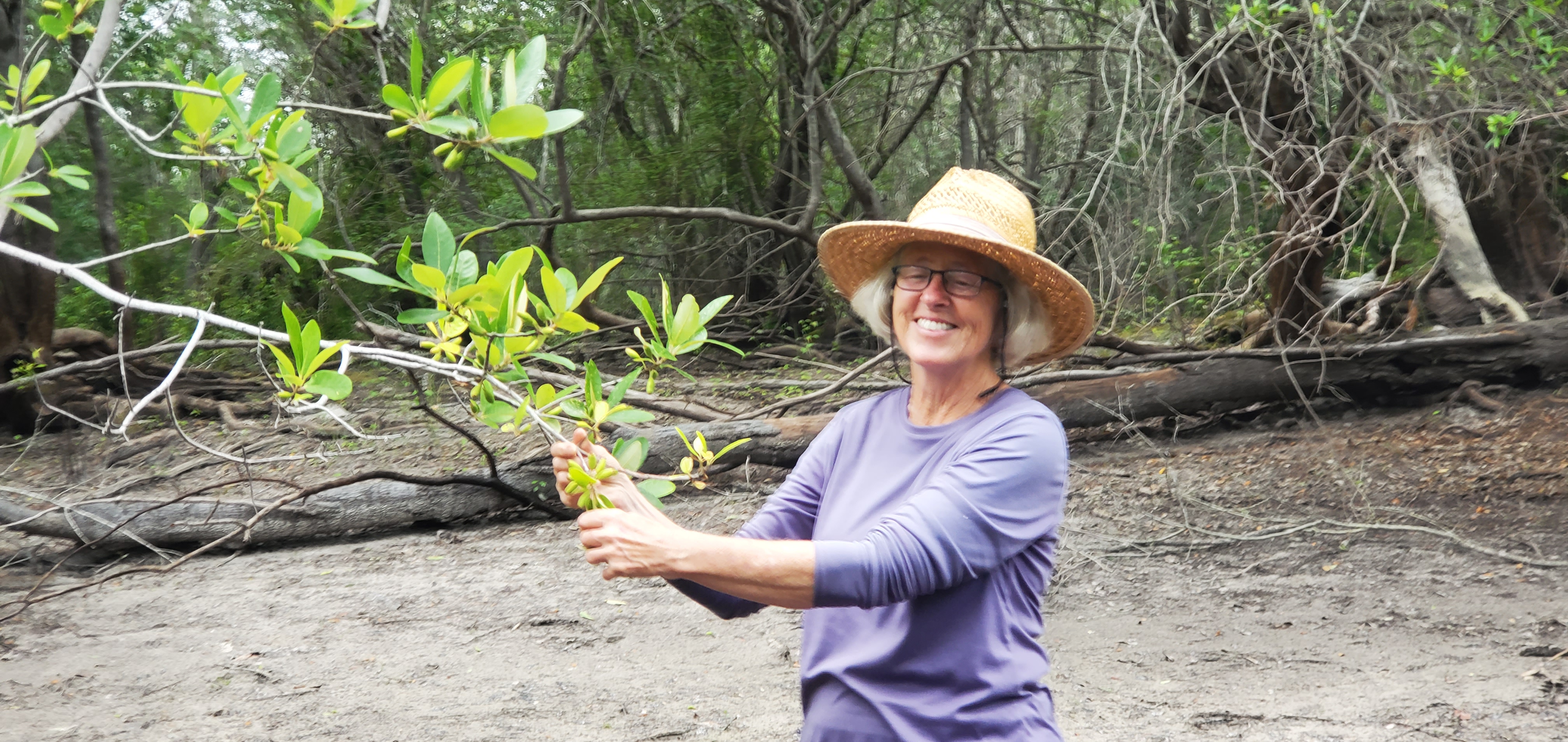 Ogeechee Limes, Shirley Kokidko, Portage Logjam, 14:25:10, 30.7156884, -82.5186127