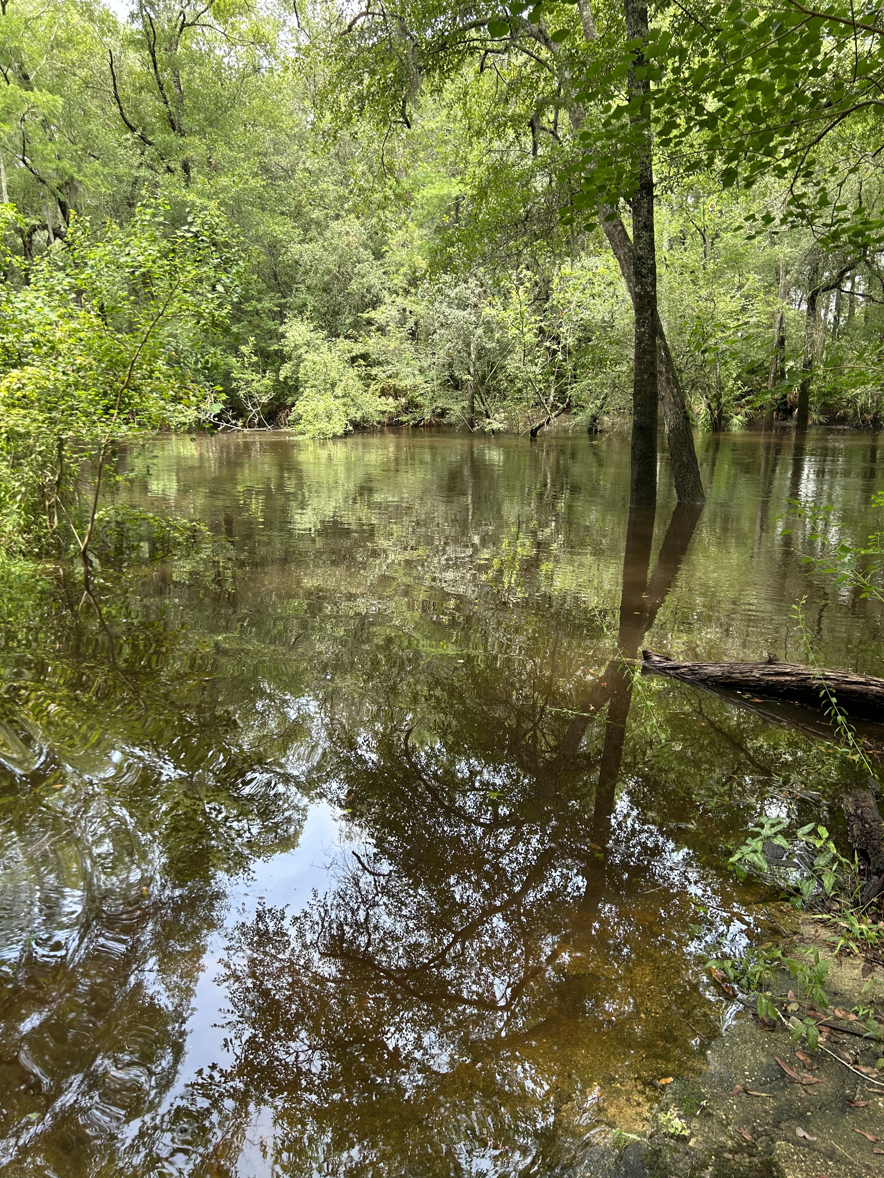 Staten Road, Withlacoochee River @ Staten Road 2023-06-22