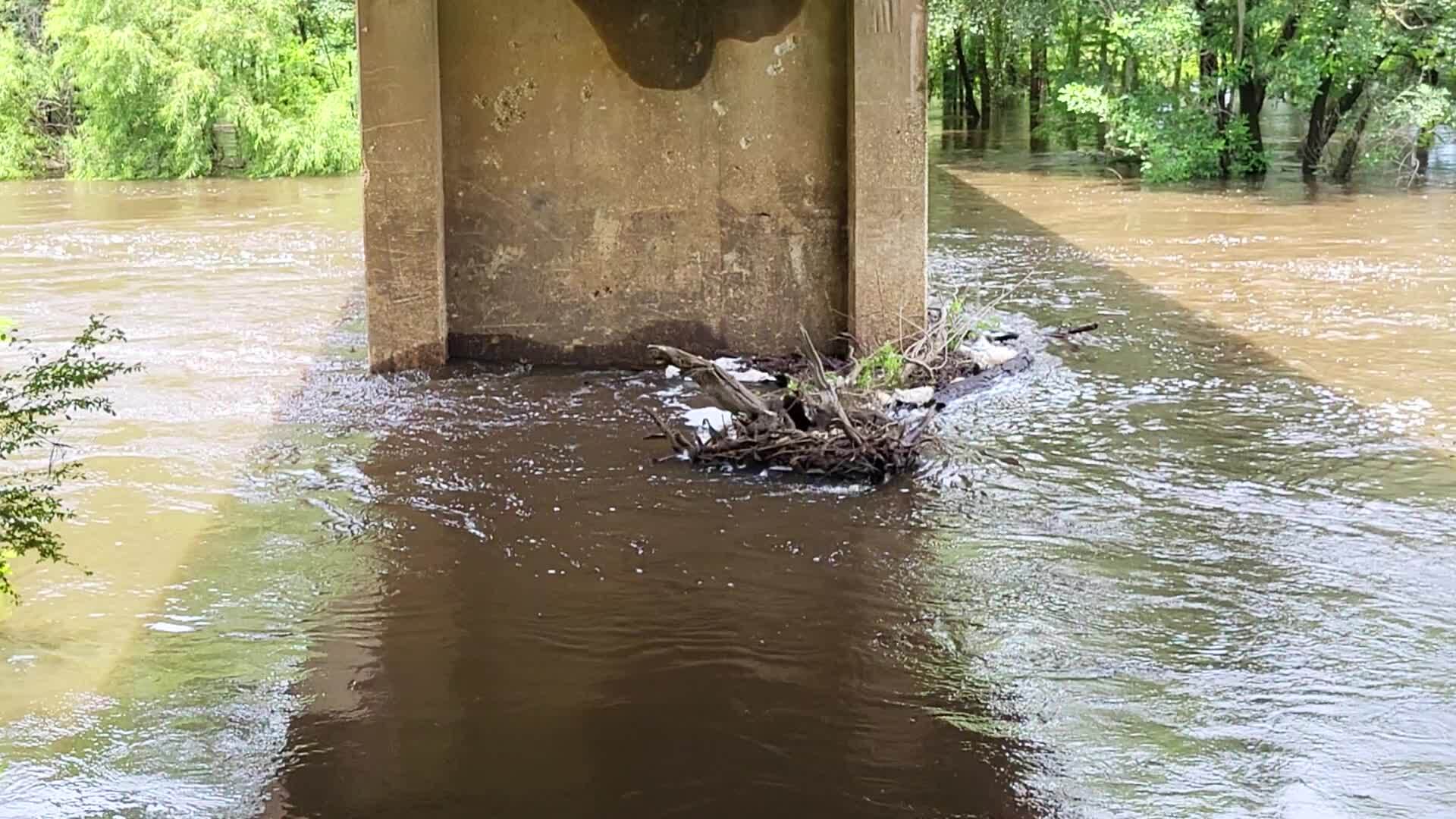 Movie: Level and Flow, Nankin Boat Ramp, Withlacoochee River @ Clyattville-Nankin Road 2023-06-22