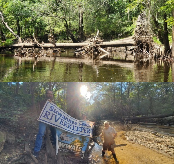 A deadfall between I-75 and GA 133, and a previous deadfall