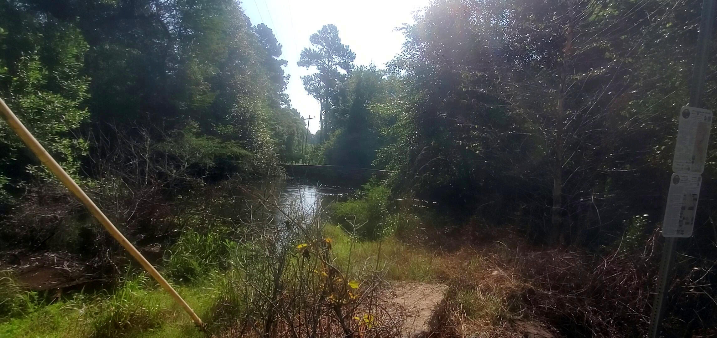 Withlacoochee River above bottom of Tyler Bridge