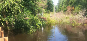 [Franklinville Road from Tyler Bridge]