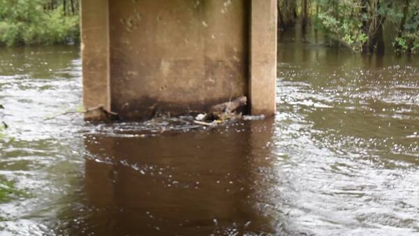 [Movie: Level and Flow, Clyattville-Nankin Boat Ramp]