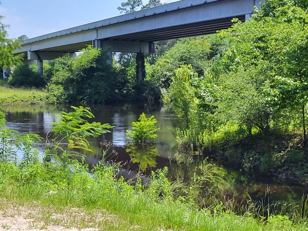 [State Line Boat Ramp, Withlacoochee River @ Madison Highway 2023-06-29]