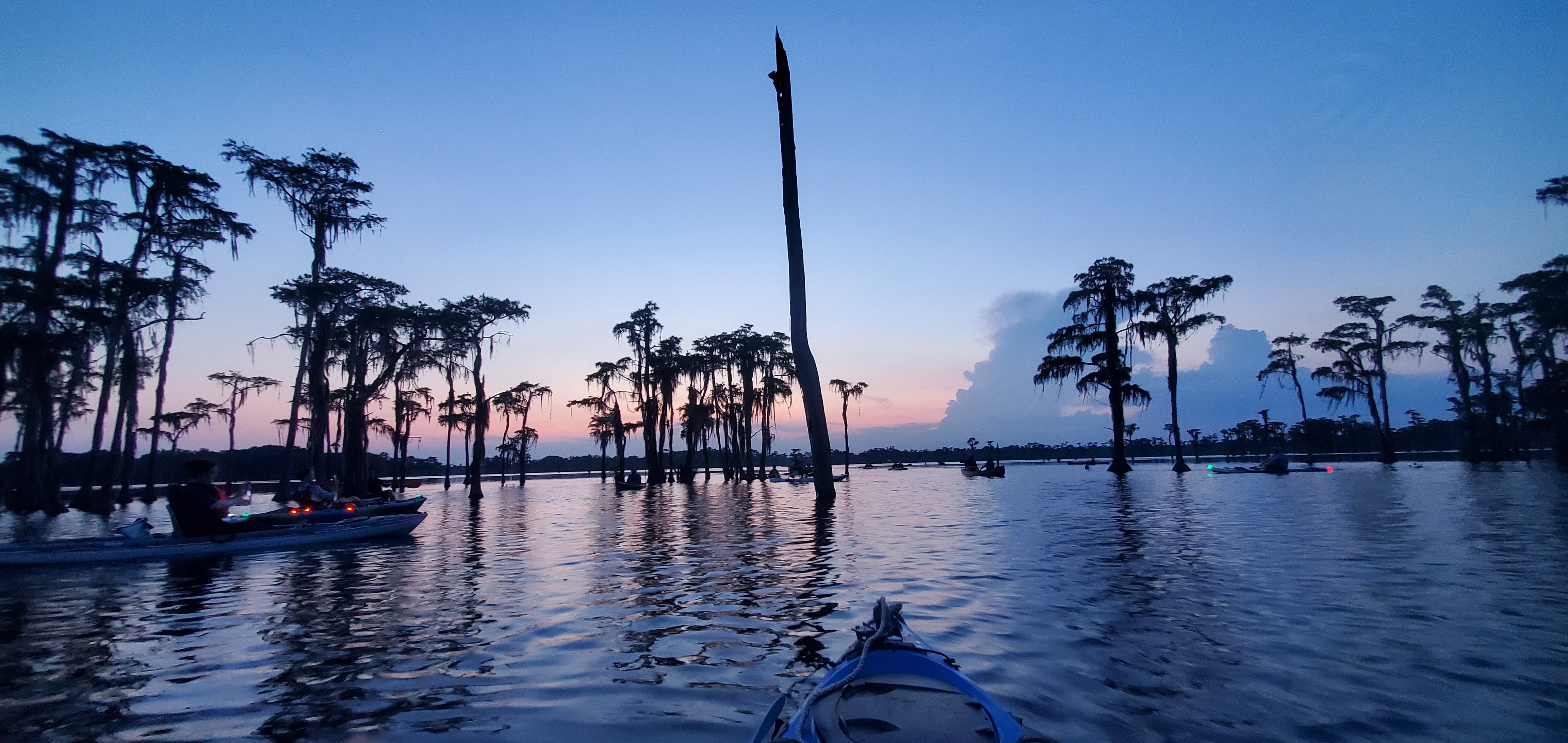 Sunset at bat tree