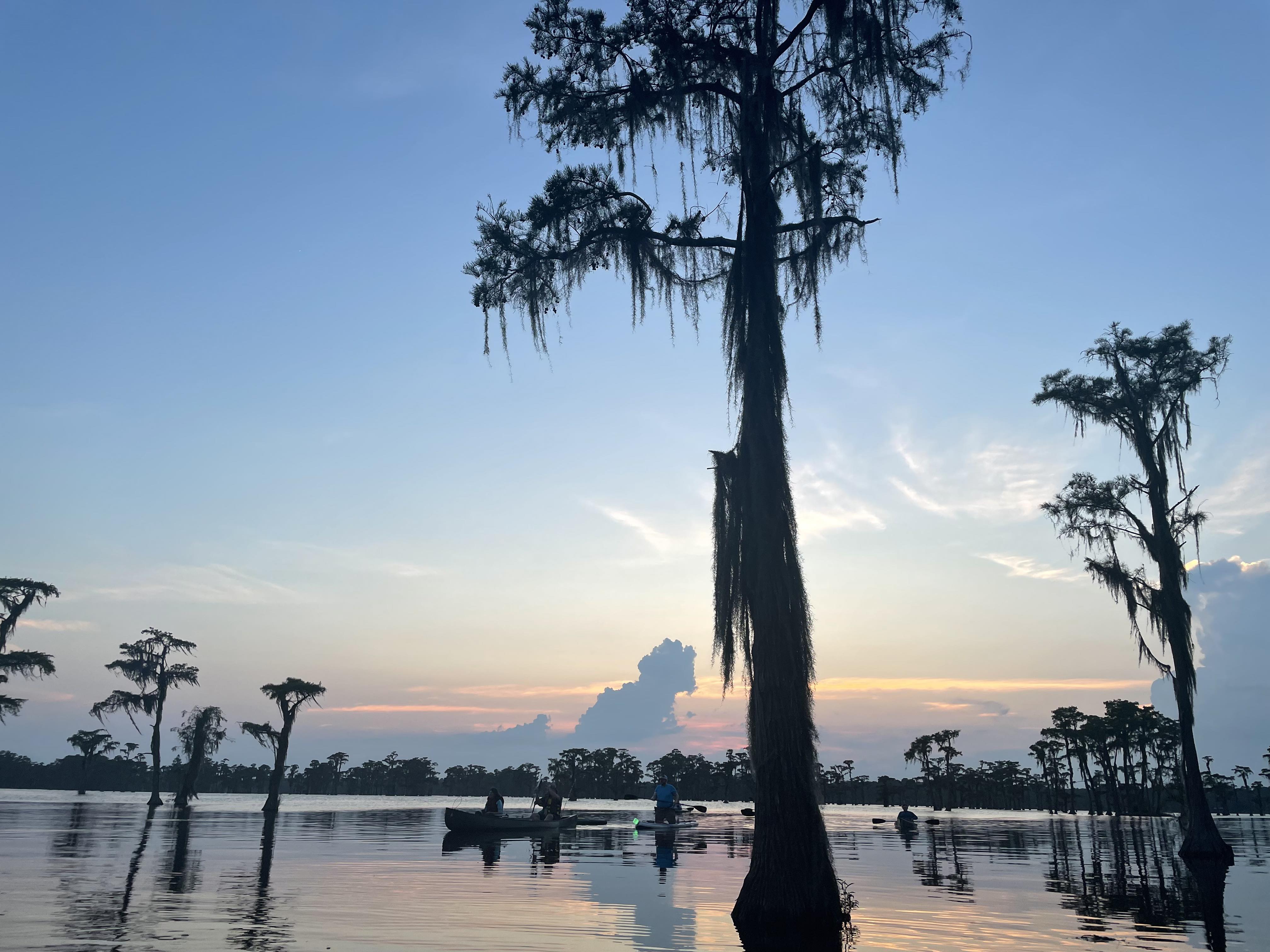 Cypress sunset --Gee Edwards