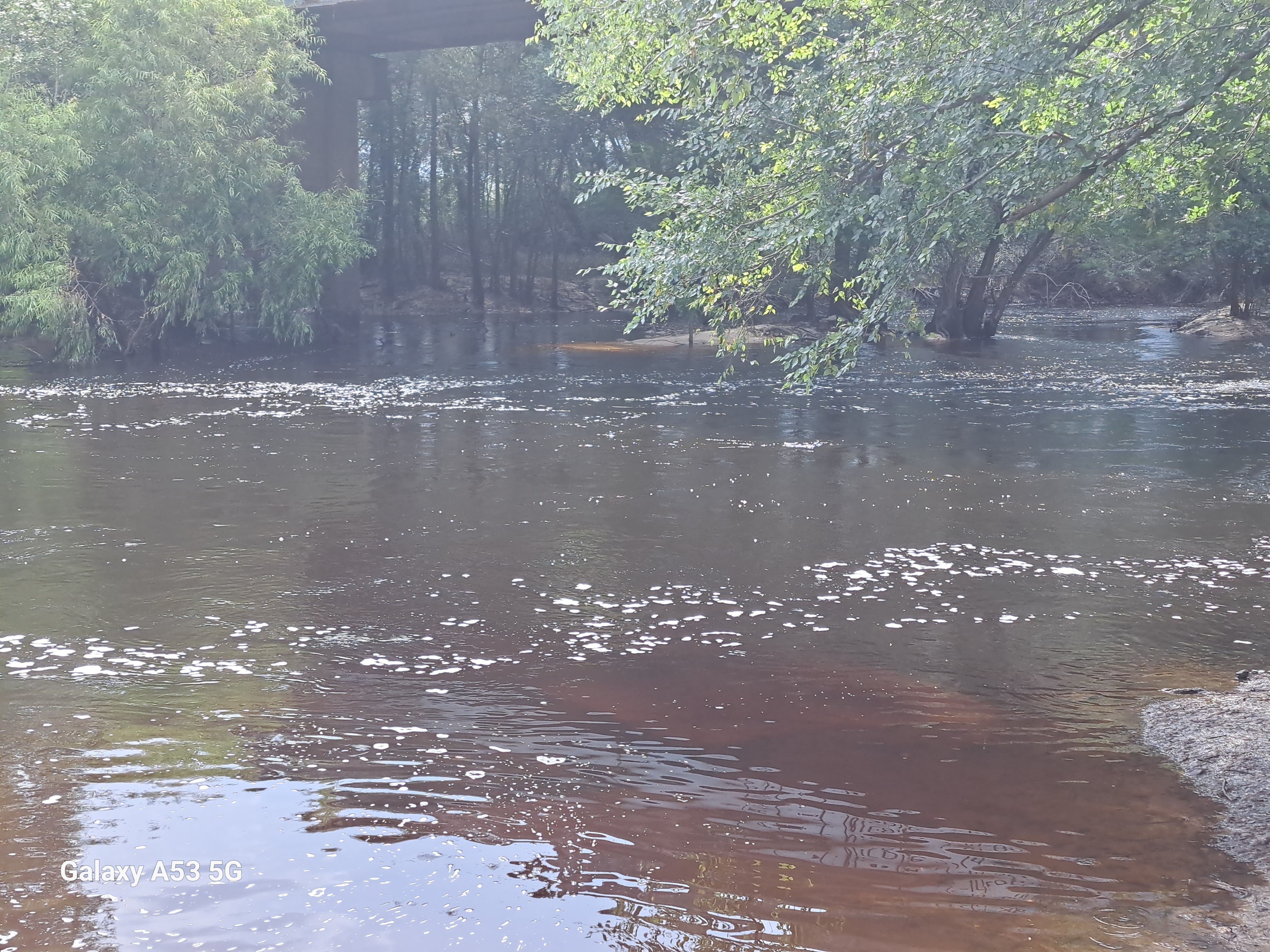 Withlacoochee River under Clyattville-Nankin Road bridge --Suzy Hall 2023-07-05