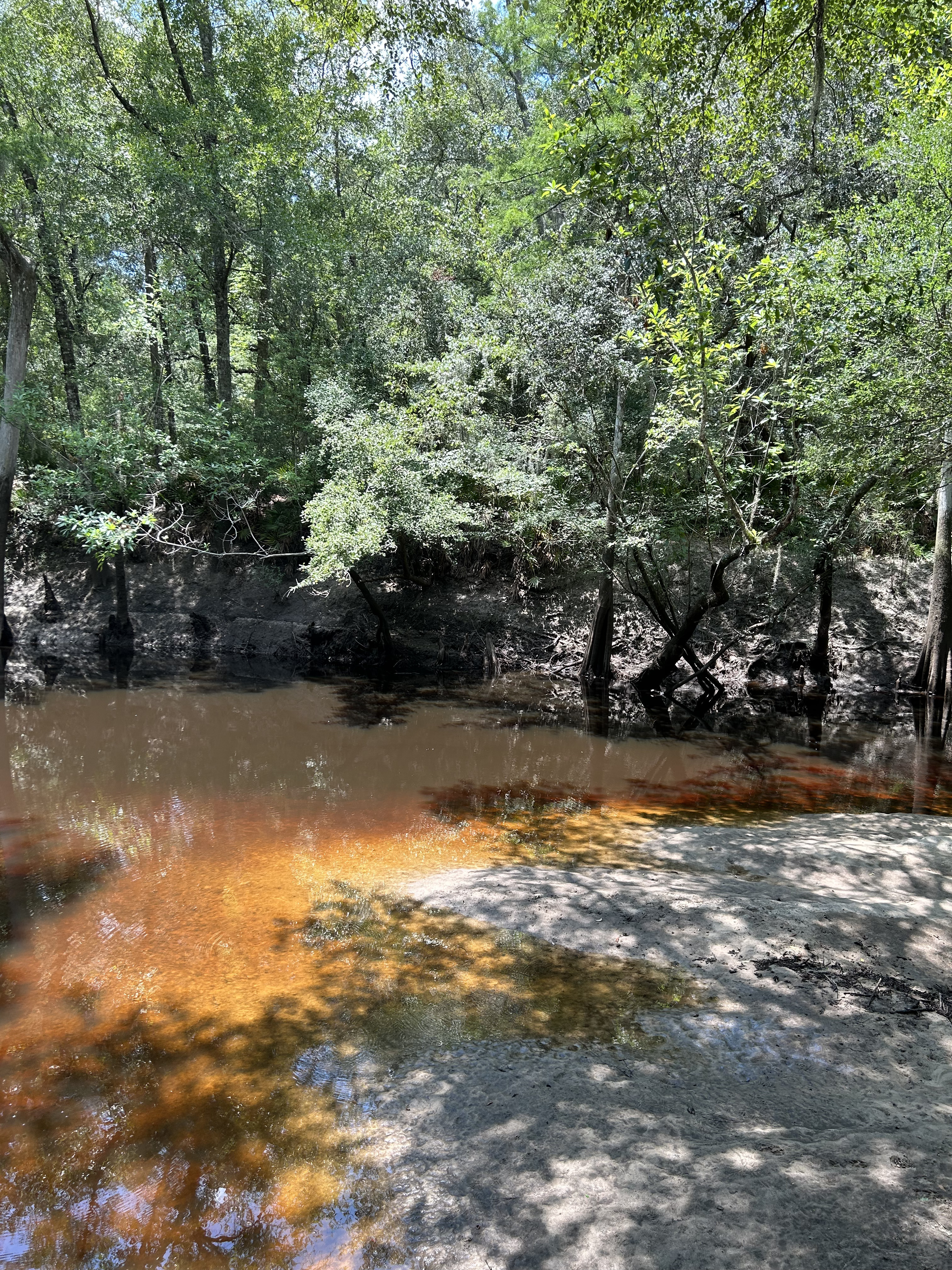 Staten Road, Withlacoochee River @ Staten Road 2023-07-06