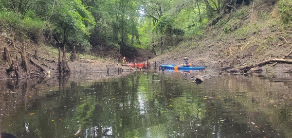 Viewing Chitty Bend East Distributary Sink, 14:23:53, 30.5170677, -83.2382078