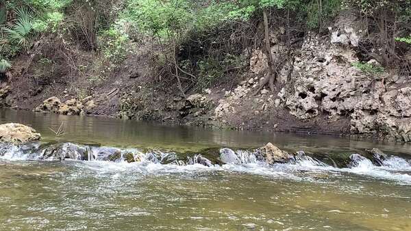 Movie: Hardee Spring outflow --Shirley Kokidko (12M)