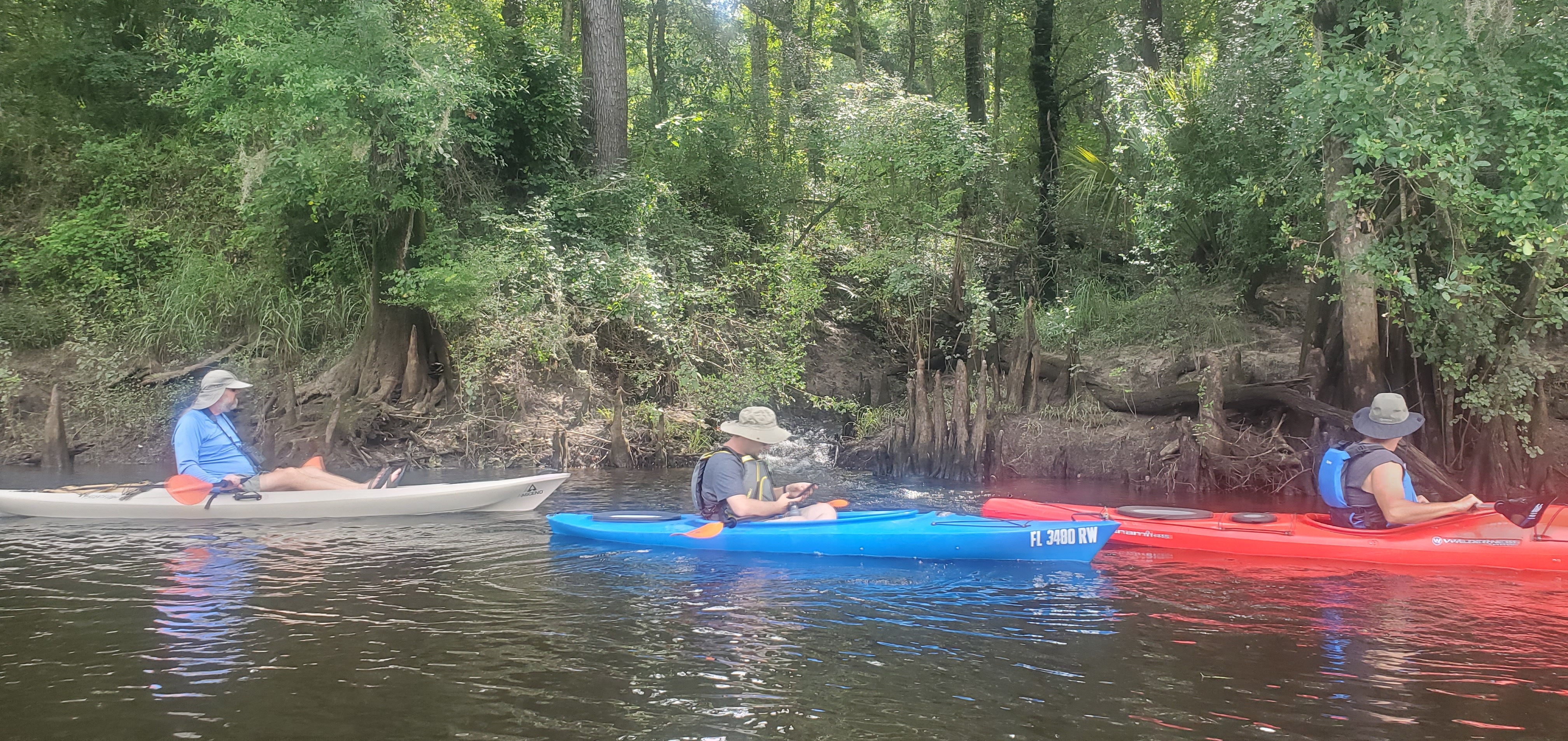 A spring or creek, 10:39:37, 30.5912919, -83.2582130