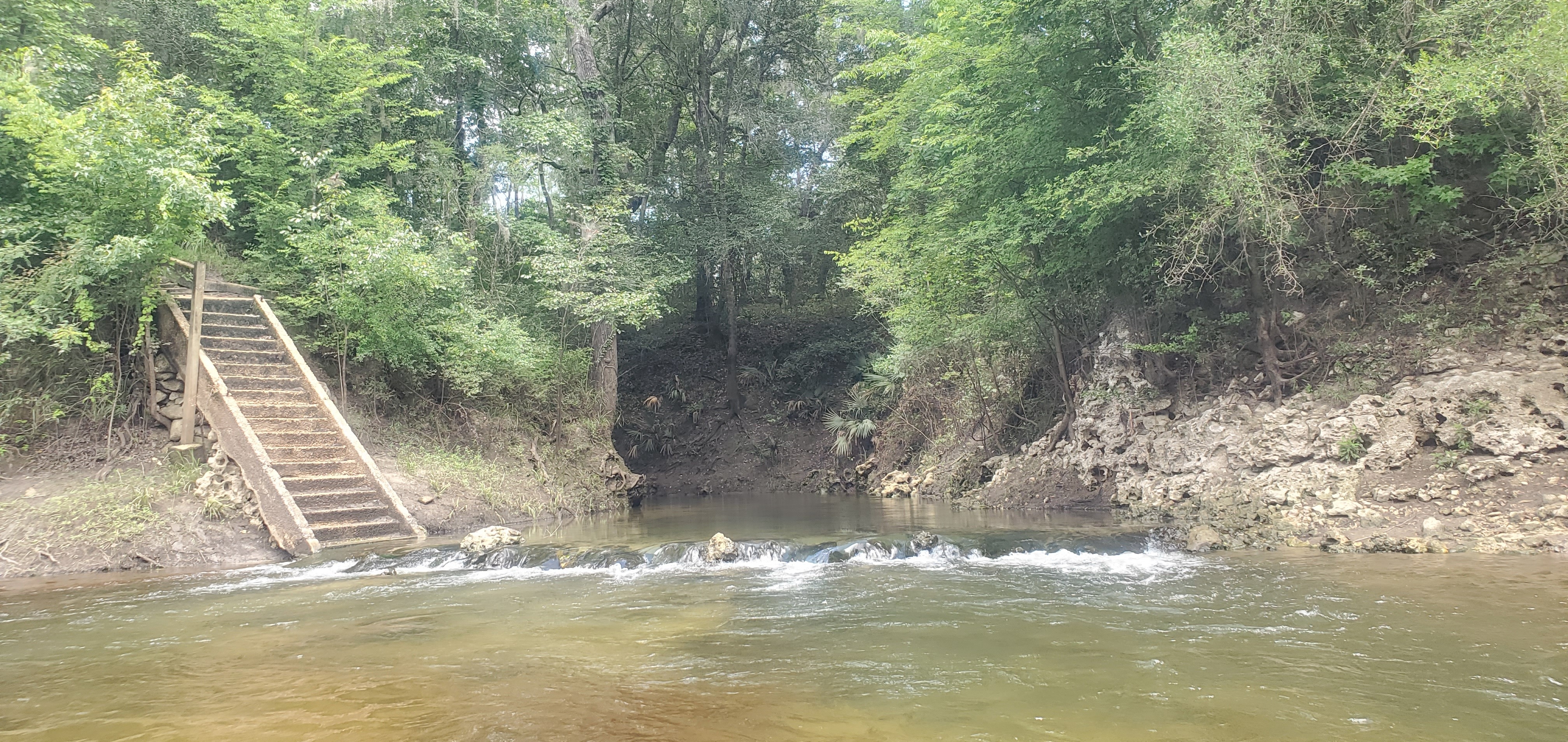 Rocks, outfall of Hardee Spring, 13:19:05, 30.5442815, -83.2501332