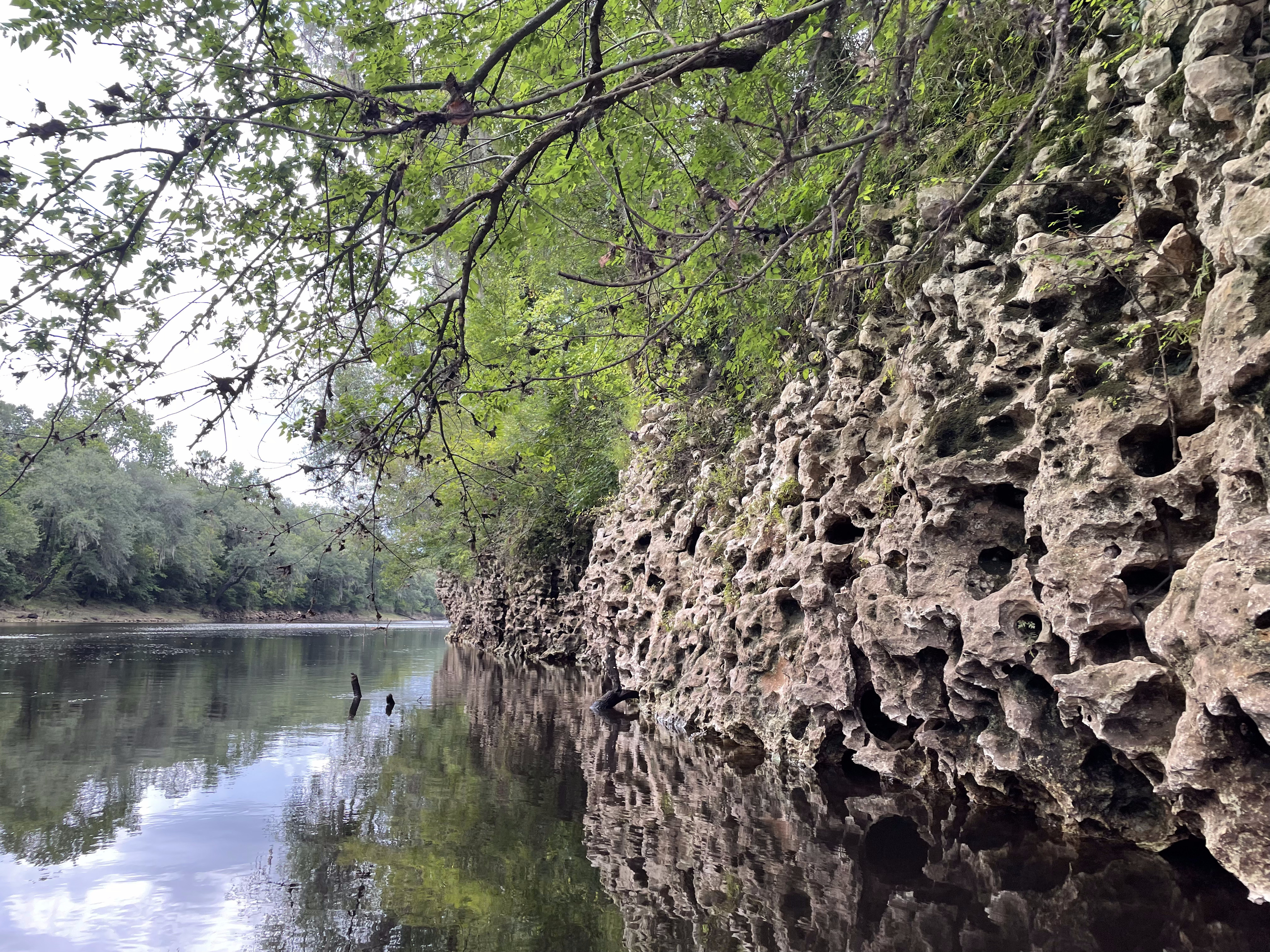 Karst and Withlacoochee River --Shirley Kokidko