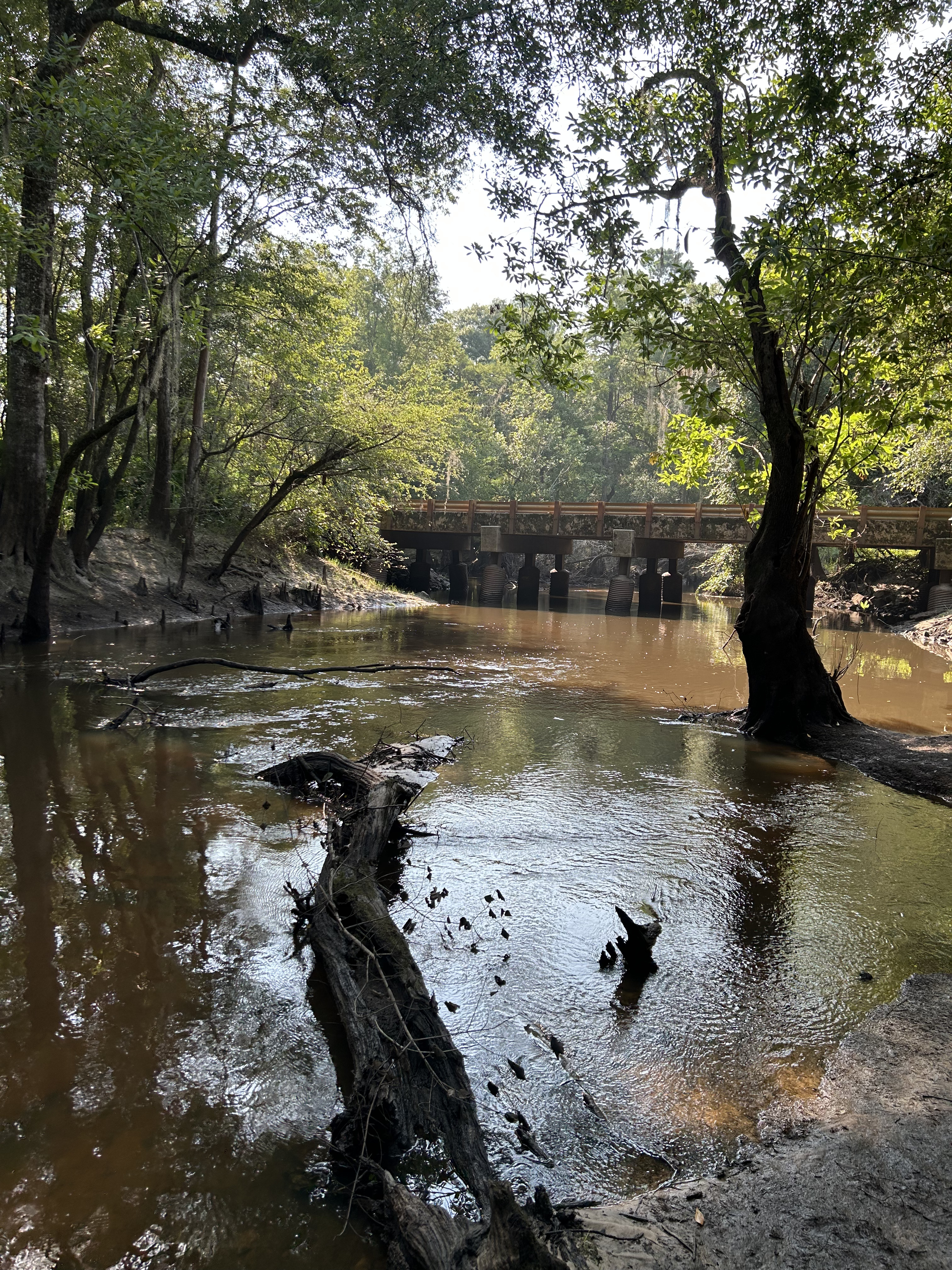 Franklinville, Withlacoochee River @ Frankinville Road 2023-07-20