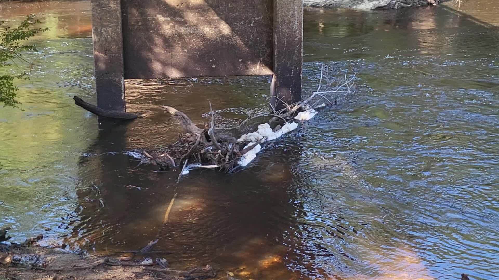 Movie: Level and Flow, Nankin Boat Ramp, Withlacoochee River @ Clyattville-Nankin Road 2023-07-20