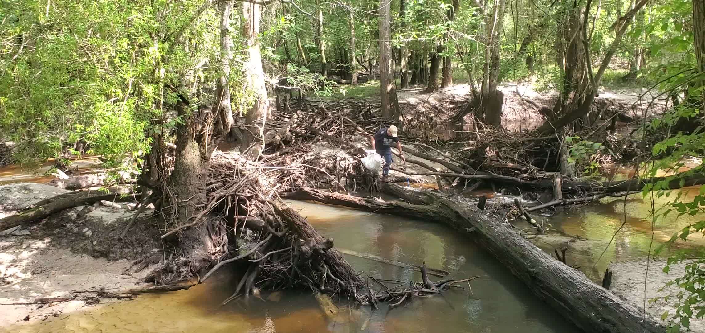 Movie: Phil Royce walks the log, 10:31:04 (139M)