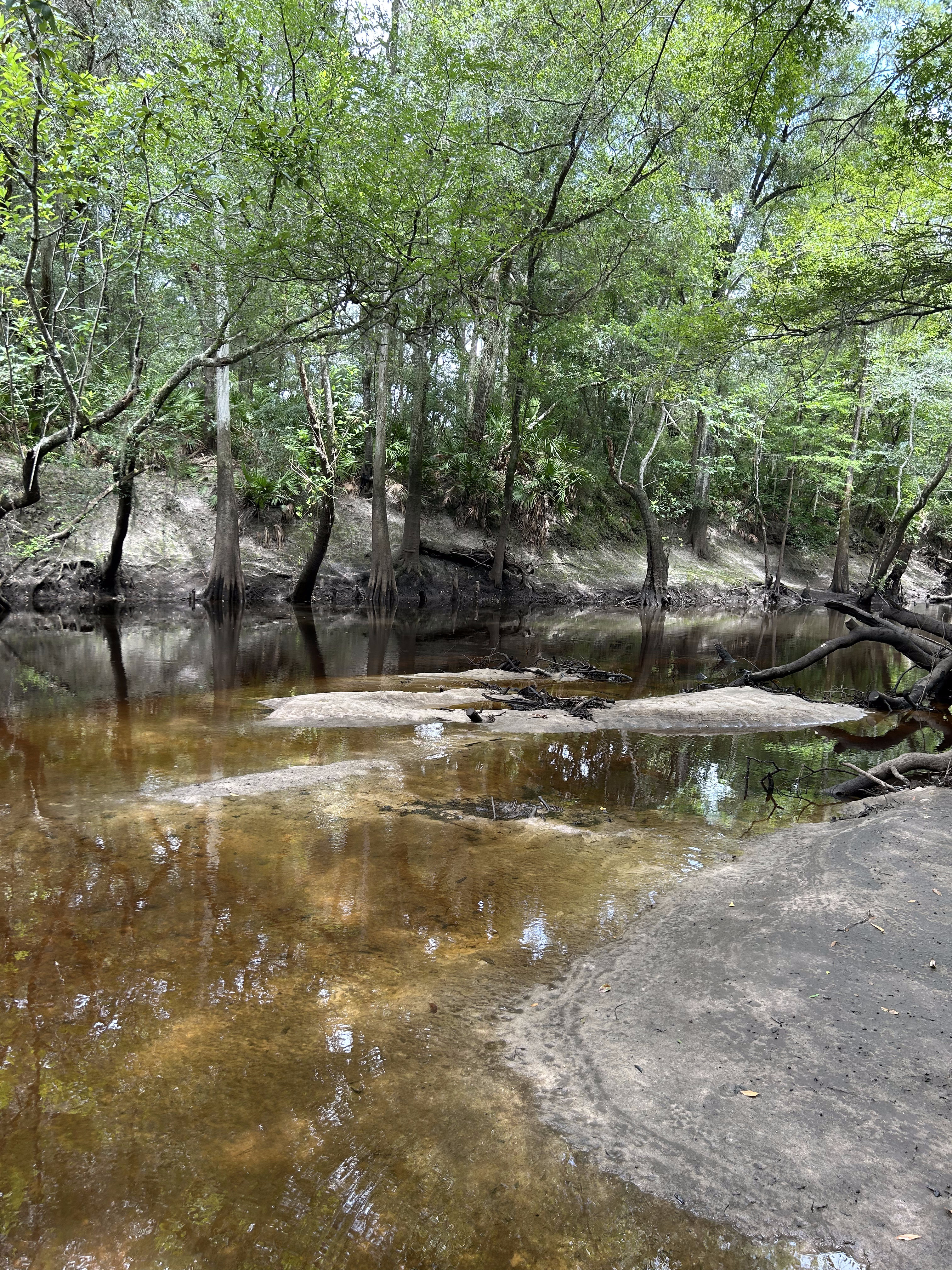 Staten Road upstream, Withlacoochee River @ Staten Road 2023-07-28