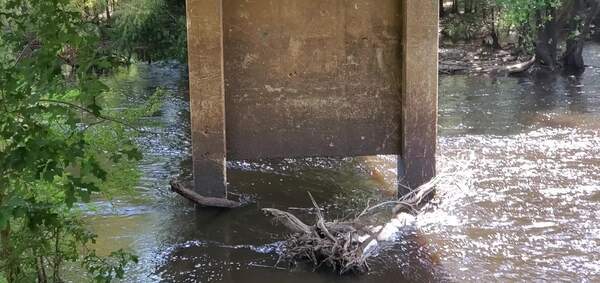 Movie: Video: Level and Flow, Nankin Boat Ramp, Withlacoochee River @ Clyattville-Nankin Road 2023-08-03