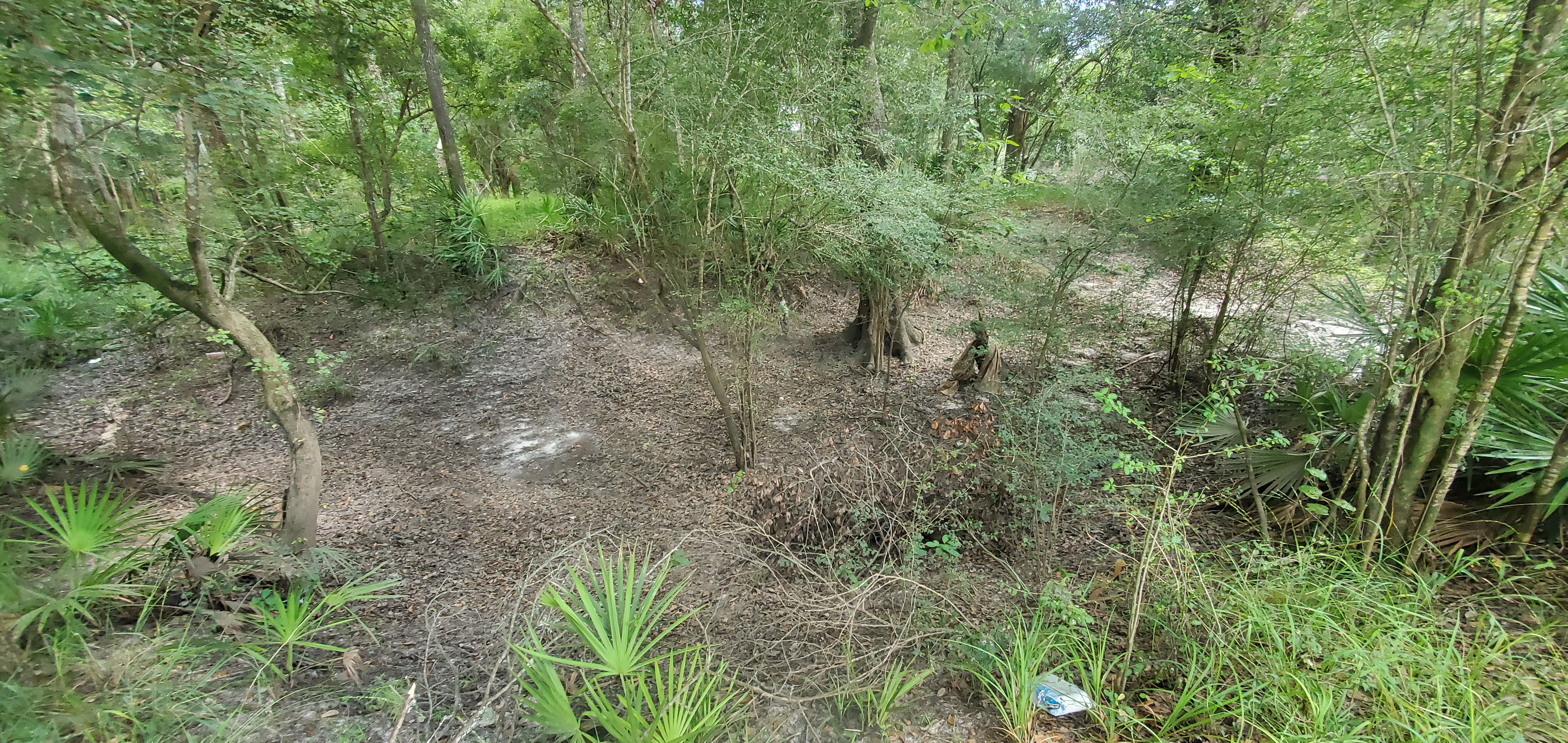 Gulley, Knights Ferry Boat Ramp, Withlacoochee River @ Knights Ferry Road 2023-08-03