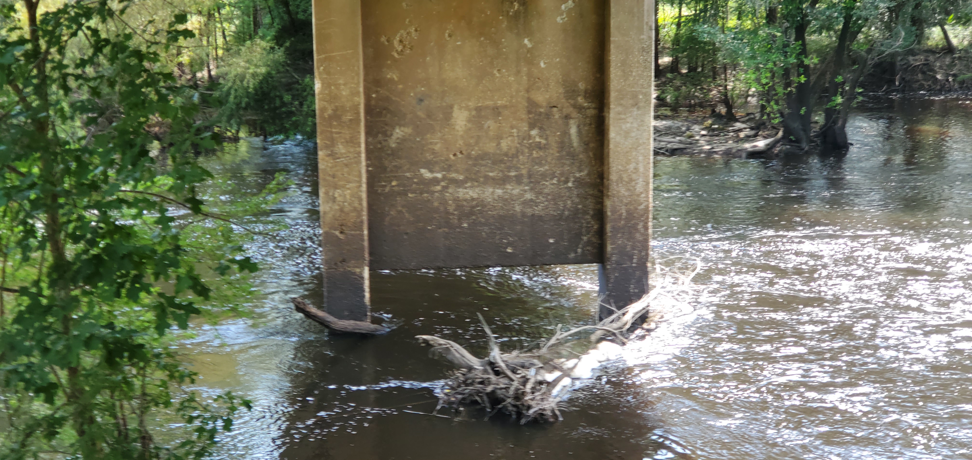 Level and Flow, Nankin Boat Ramp, Withlacoochee River @ Clyattville-Nankin Road 2023-08-03