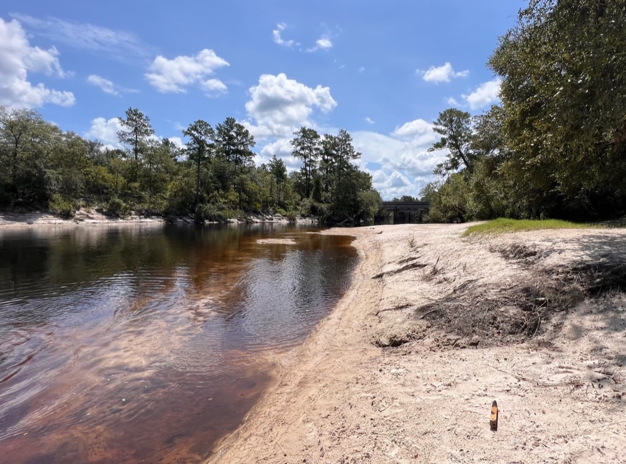 Naylor Park Beach, Alapaha River @ US 84 2023-08-03