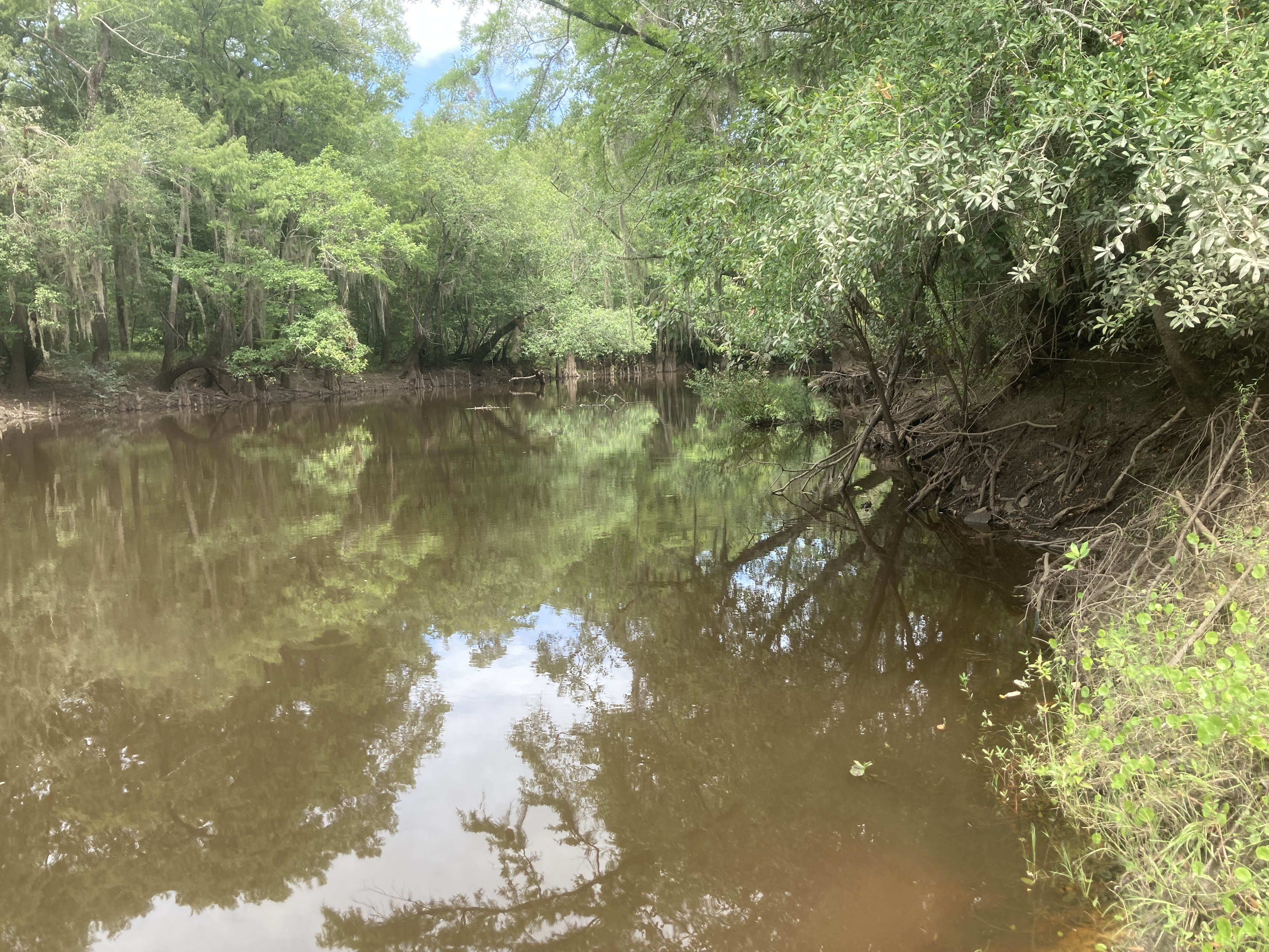 Sheboggy Boat Ramp, Alapaha River @ US 82 2023-08-03