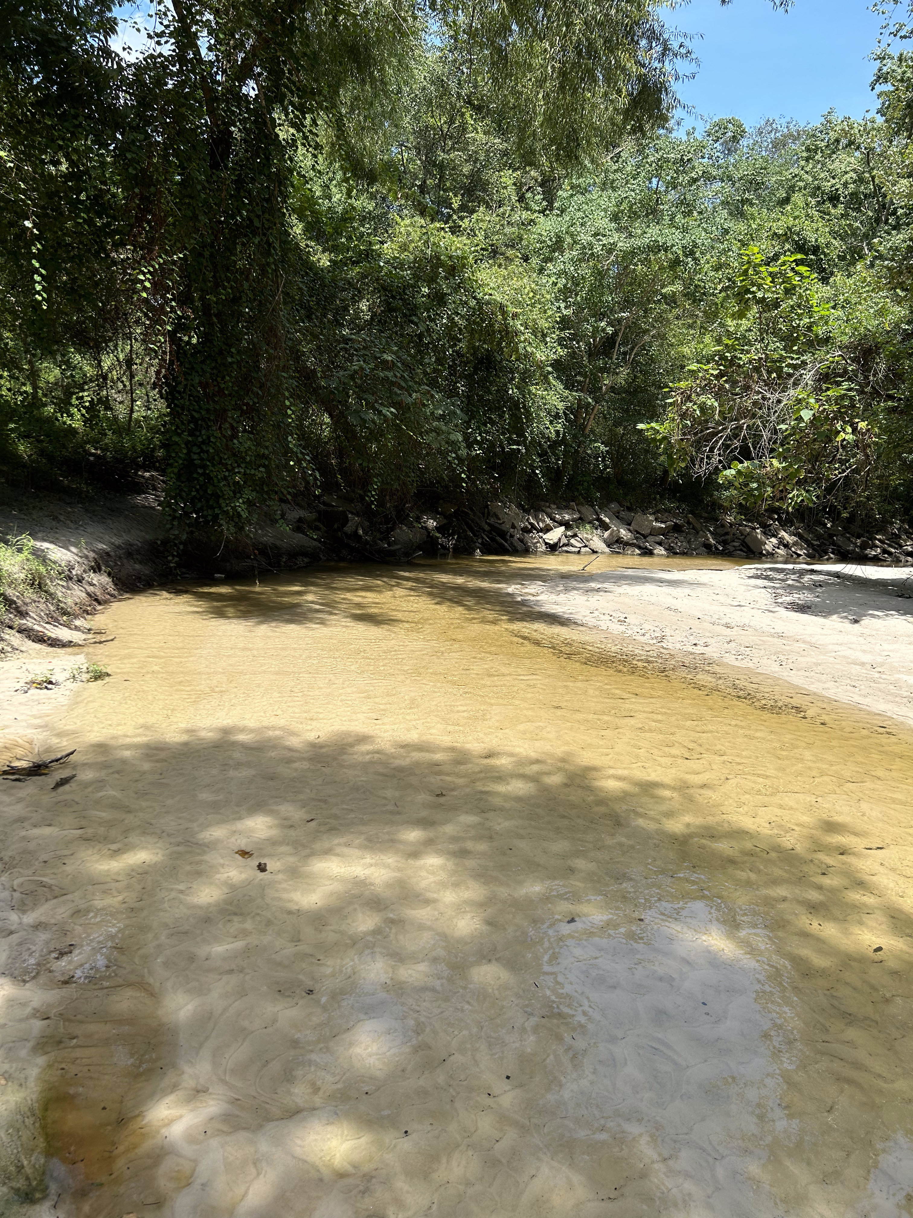 Sugar Creek downstream, Withlacoochee River @ Gornto Road 2023-08-01