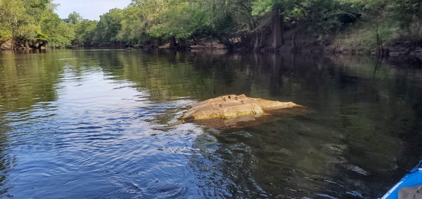 [Submerged boat, 10:19:32, 30.7110768, -83.4546825]