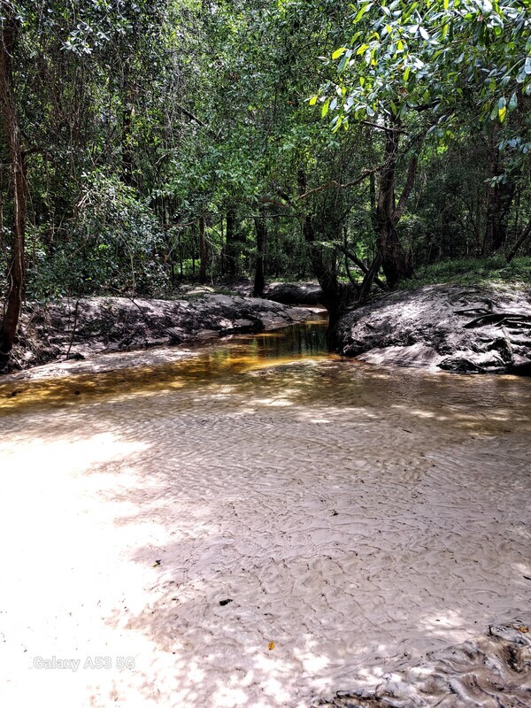 Again, Two Mile Branch, Sugar Creek, Withlacoochee River @ Gornto Road 2023-08-17