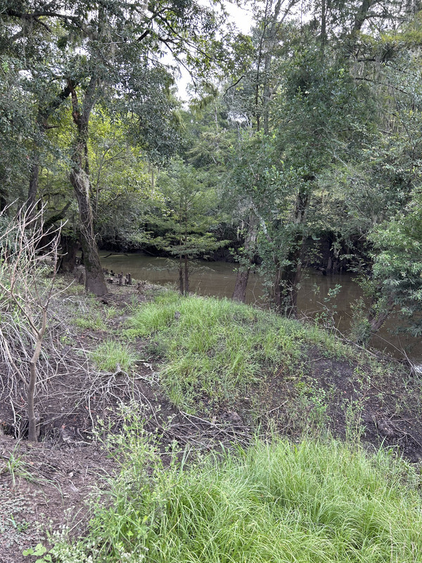 US 41 Landing downstream, Withlacoochee River @ North Valdosta Road 2023-08-17