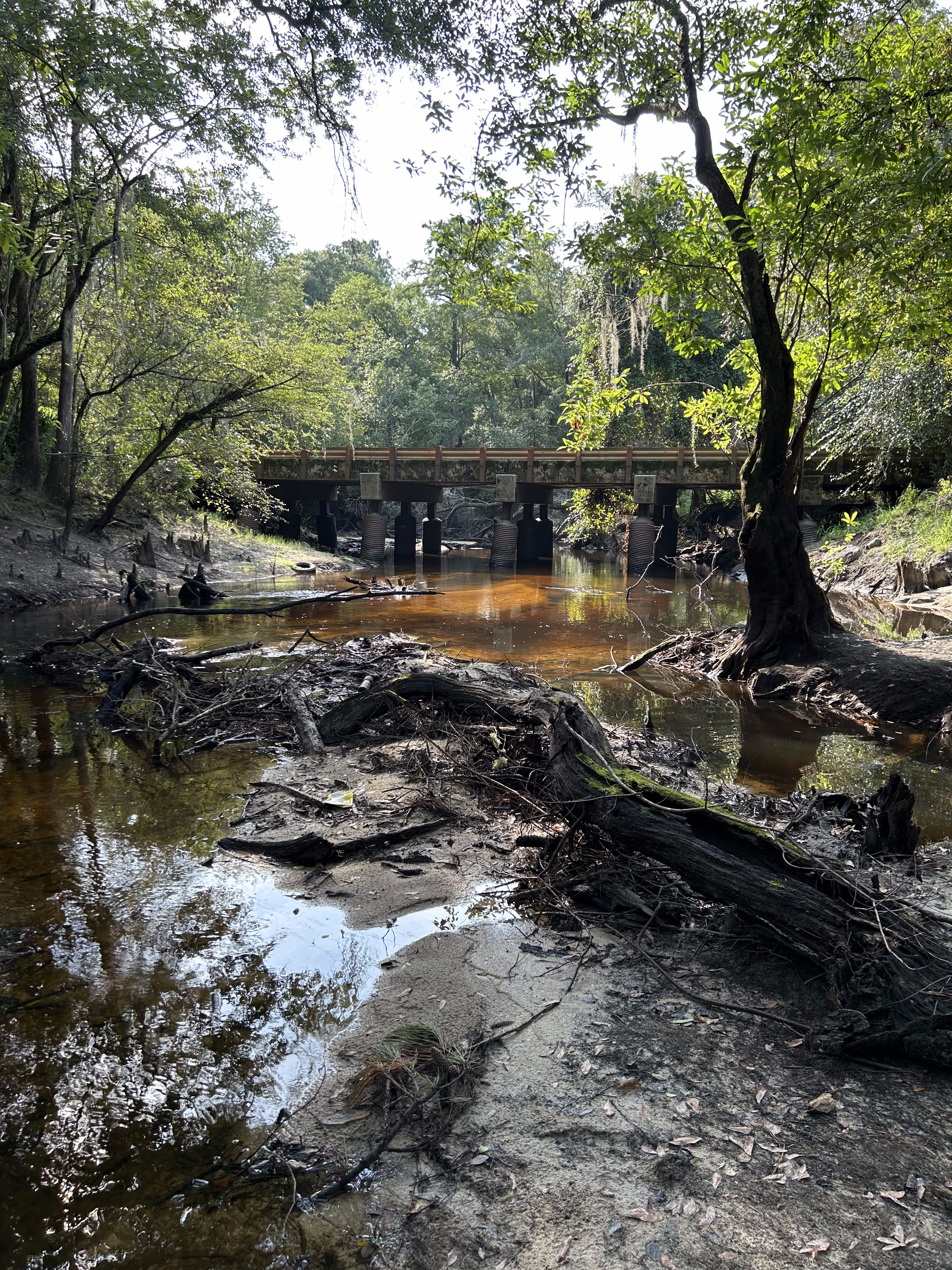 Franklinville, Withlacoochee River @ Frankinville Road 2023-08-17