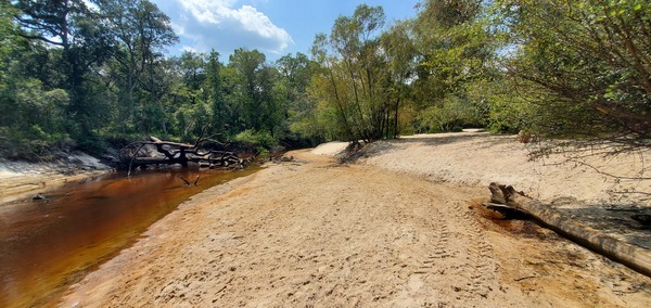 Context downstream beach deadfall, 2023:08:23 14:22:43, 30.9991745, -83.4559399