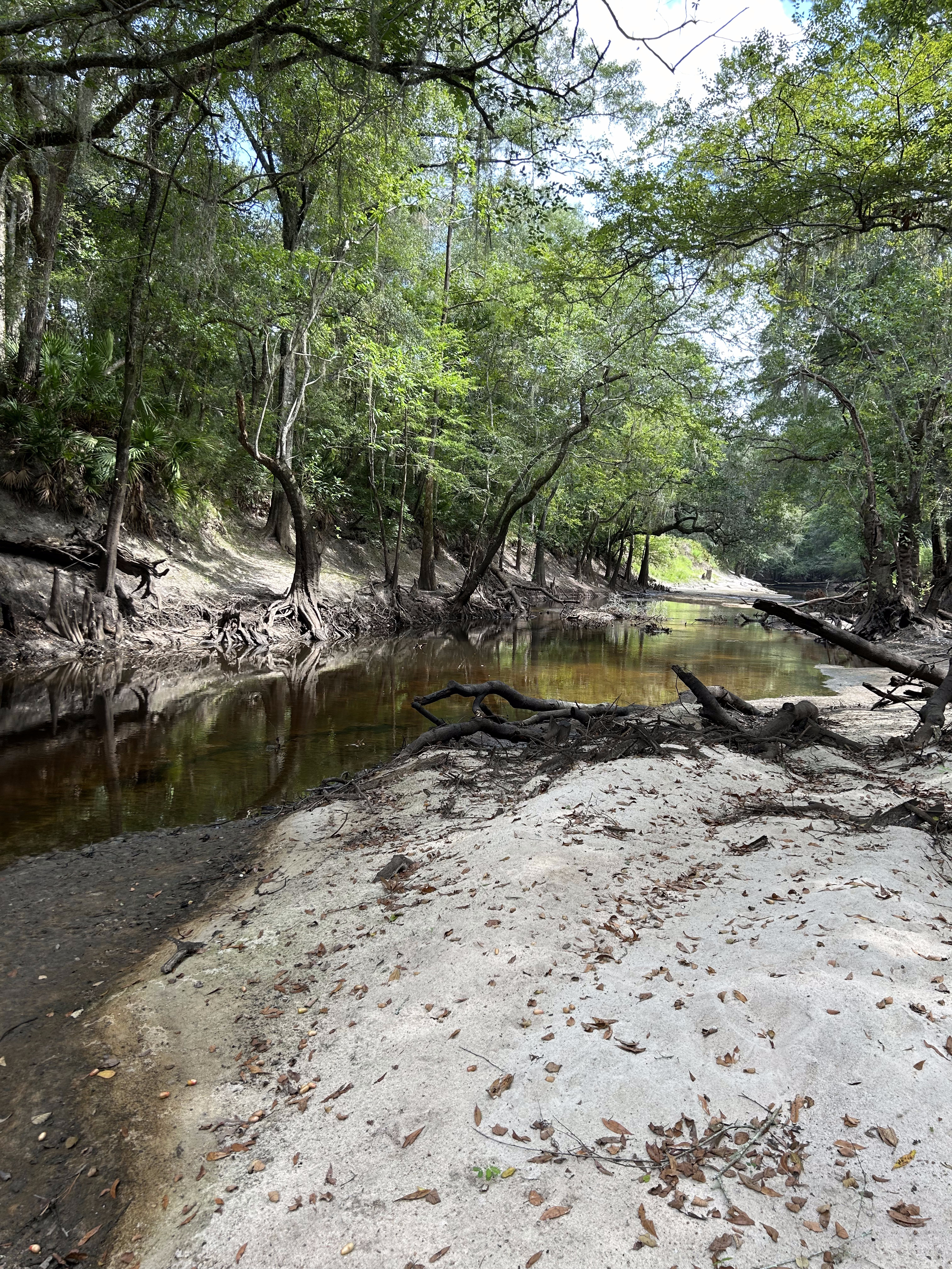 Staten Road, Withlacoochee River @ Staten Road 2023-08-24