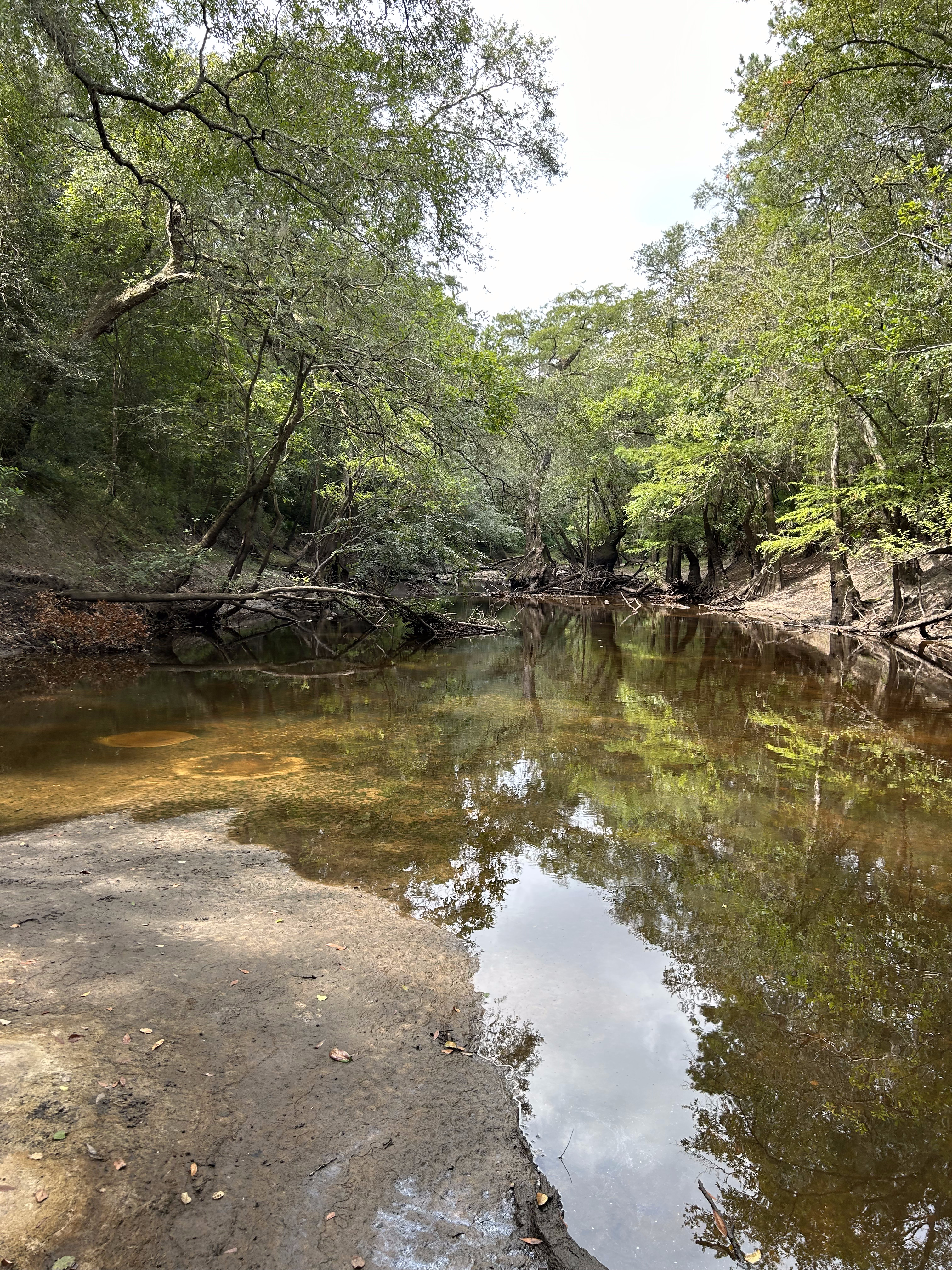 Staten Road downstream, Withlacoochee River @ Staten Road 2023-08-24