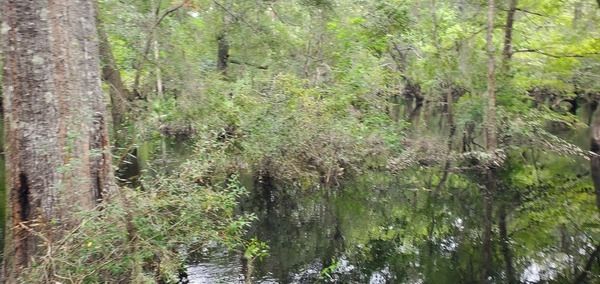 US 41 Landing downstream, Withlacoochee River @ North Valdosta Road 2023-09-07