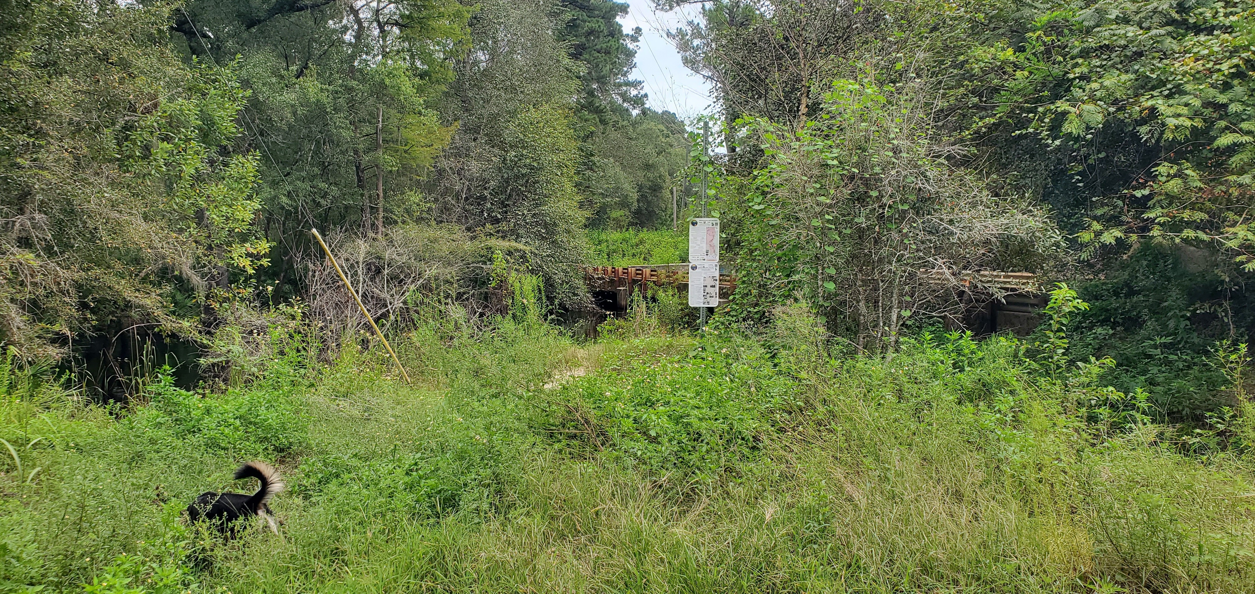 Franklinville Signs, Withlacoochee River @ Frankinville Road 2023-09-07