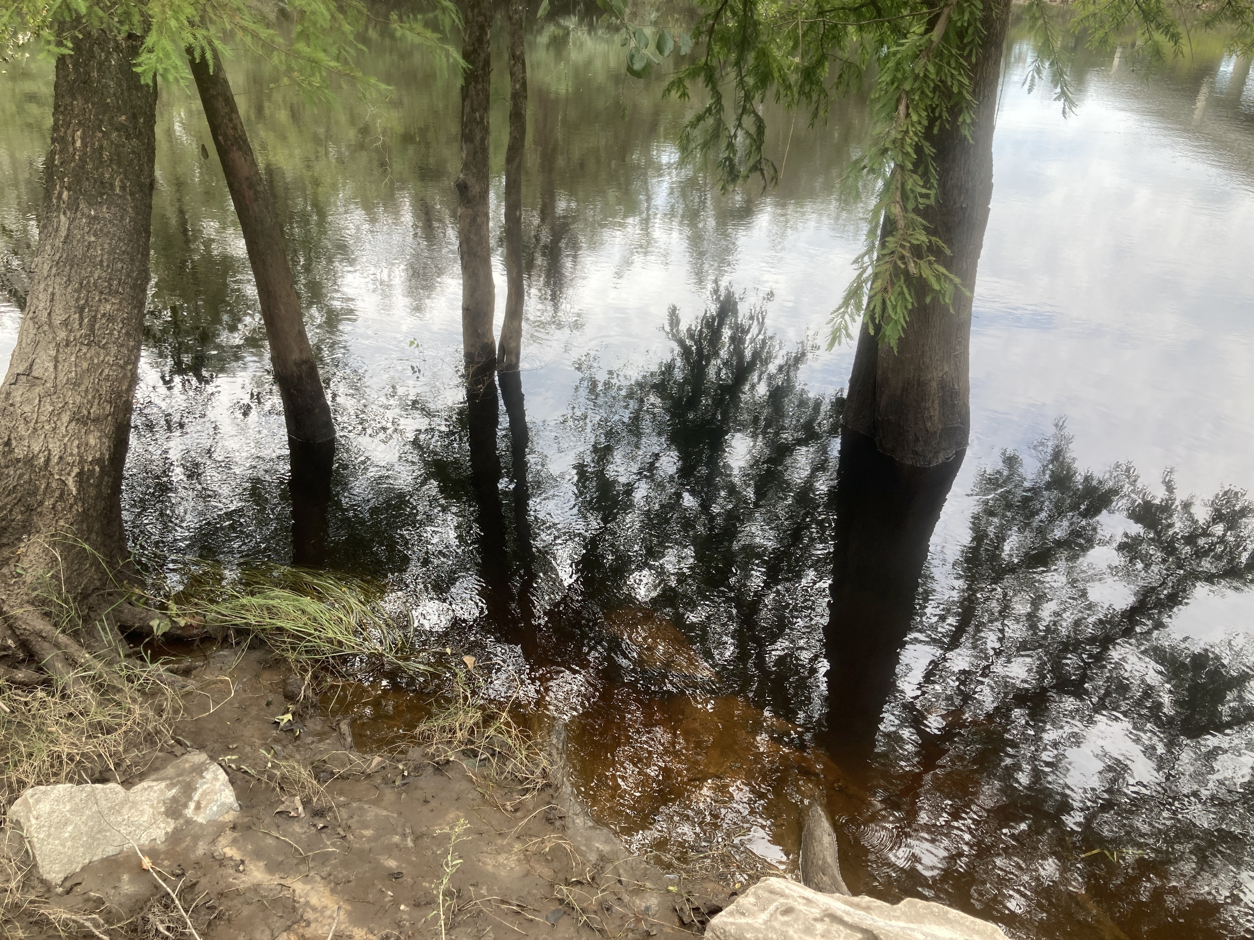 Rocks, State Line Boat Ramp, Withlacoochee River @ Madison Highway 2023-09-07