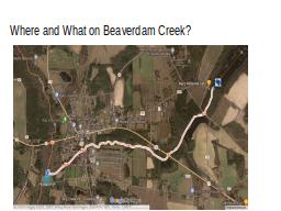 Where and What on Beaverdam Creek?