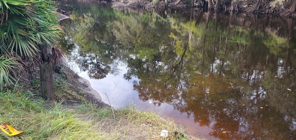 Post slightly downstream at Hagan Bridge, Withlacoochee River @ GA 122 2023-09-28, 11:18:33, 31.0136657, -83.3016714