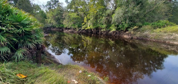 Downstream from Hagan Bridge, Withlacoochee River @ GA 122 2023-09-28, 11:18:37, 31.0136657, -83.3016714