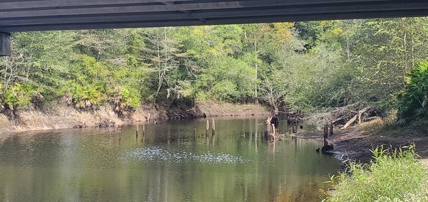 Piers of Old Hagan Bridge, Withlacoochee River @ GA 122 2023-09-28, 11:18:44, 31.0136657, -83.3016714