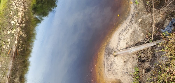 Artifacts on each bank at Hagan Bridge, Withlacoochee River @ GA 122 2023-09-28, 11:19:10, 31.0136698, -83.3016747