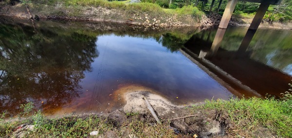 Artifacts across below Hagan Bridge, Withlacoochee River @ GA 122 2023-09-28, 11:19:19, 31.0136698, -83.3016747