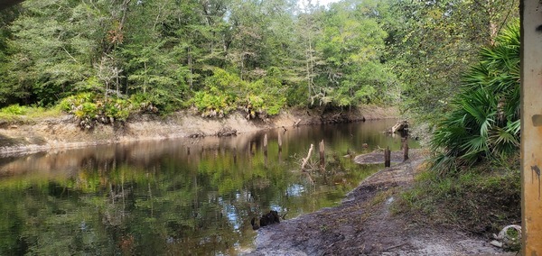 Piers of Old Hagan Bridge (slant view), Withlacoochee River @ GA 122 2023-09-28, 11:20:11, 31.0136821, -83.3020165