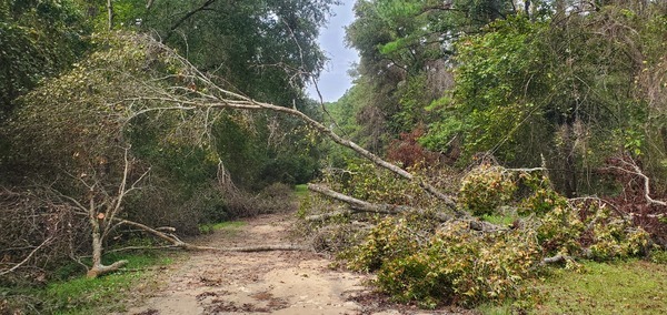 Ground impediment, Langdale Park, Withlacoochee River 2023-09-28, 12:27:54, 30.8861394, -83.3188463